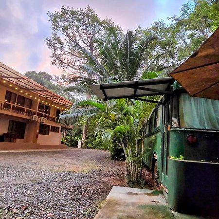 Cool Waters Jungle Villas Uvita Εξωτερικό φωτογραφία
