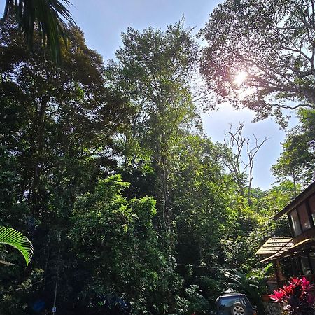 Cool Waters Jungle Villas Uvita Εξωτερικό φωτογραφία