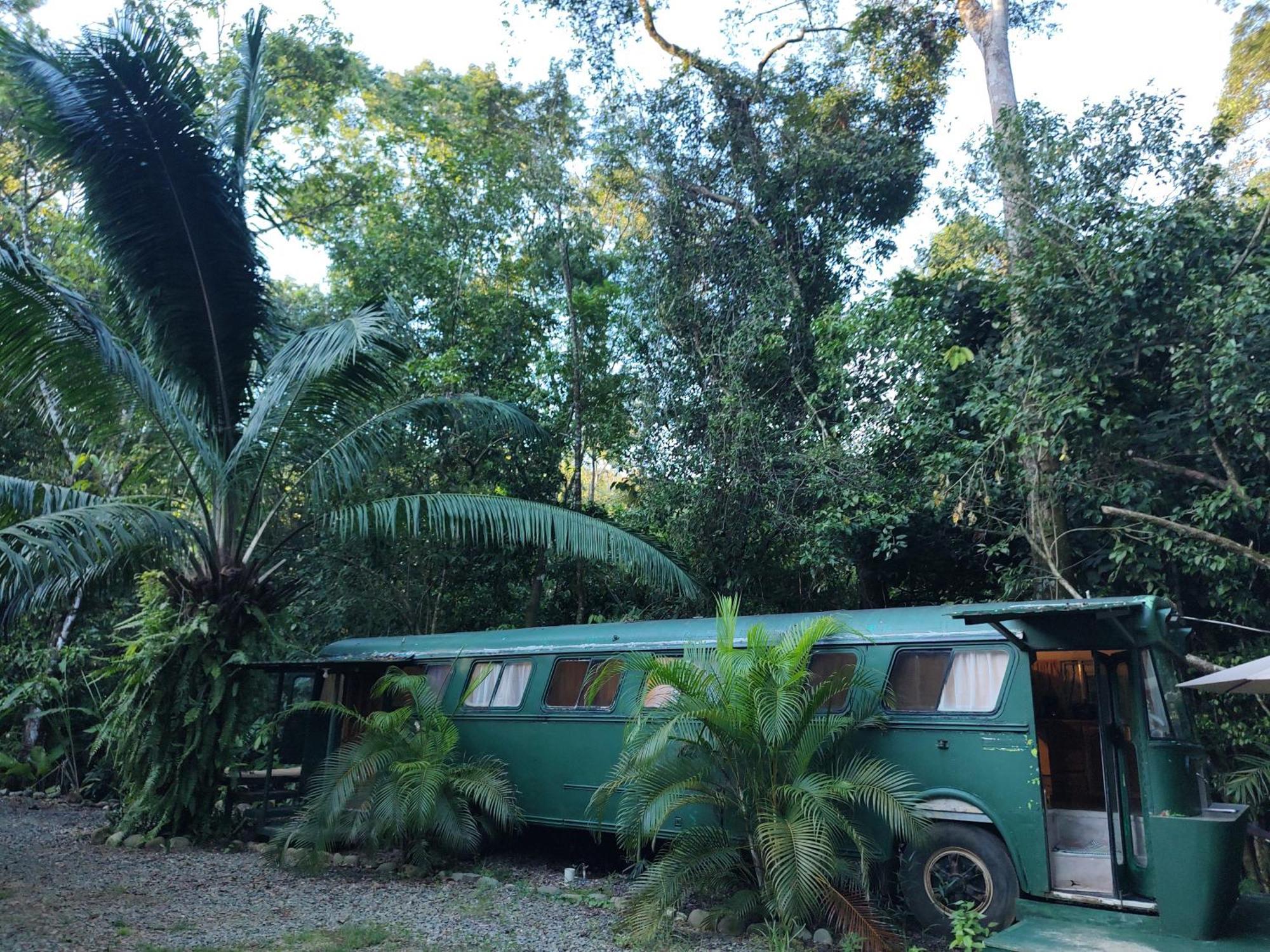 Cool Waters Jungle Villas Uvita Εξωτερικό φωτογραφία