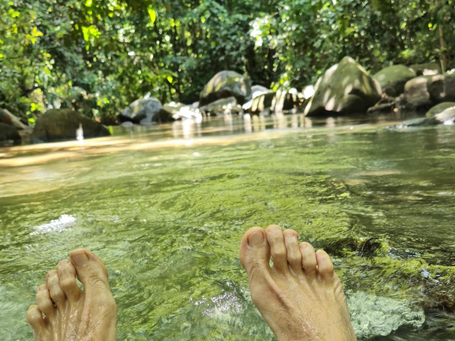 Cool Waters Jungle Villas Uvita Εξωτερικό φωτογραφία