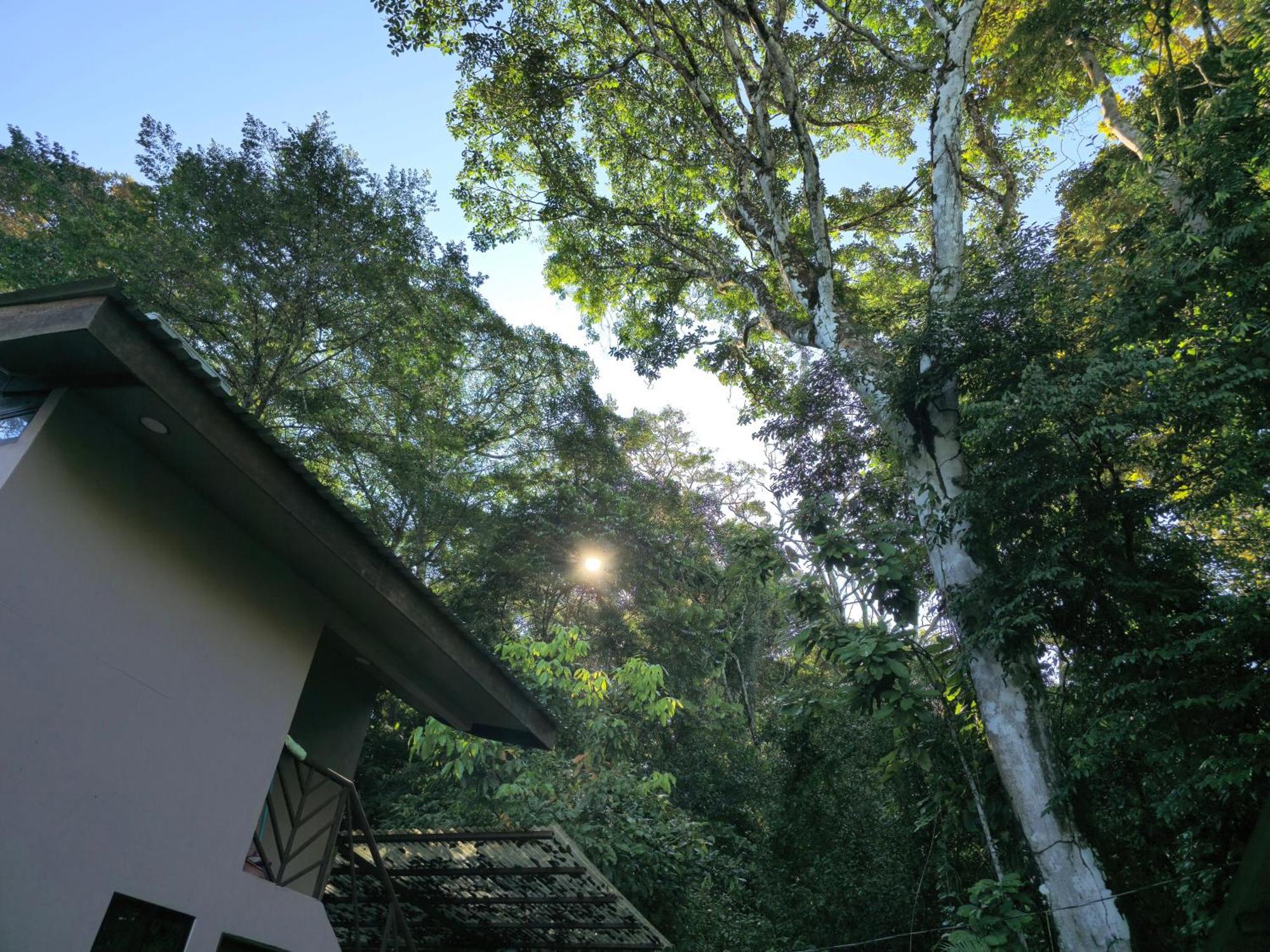 Cool Waters Jungle Villas Uvita Εξωτερικό φωτογραφία