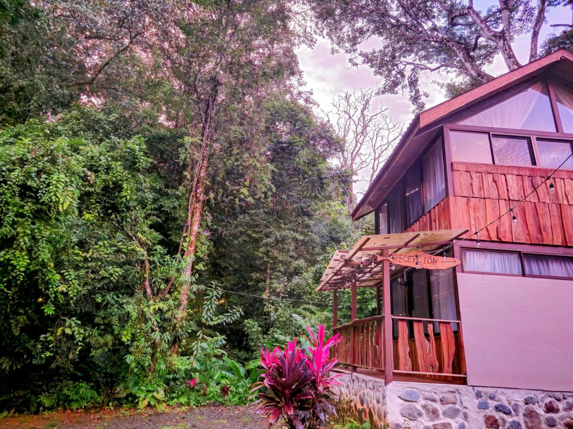 Cool Waters Jungle Villas Uvita Εξωτερικό φωτογραφία