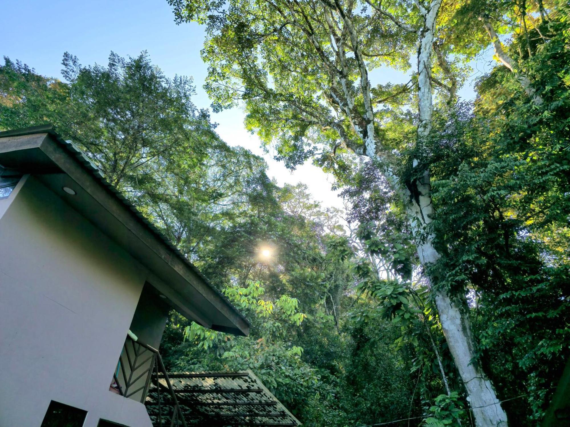 Cool Waters Jungle Villas Uvita Εξωτερικό φωτογραφία
