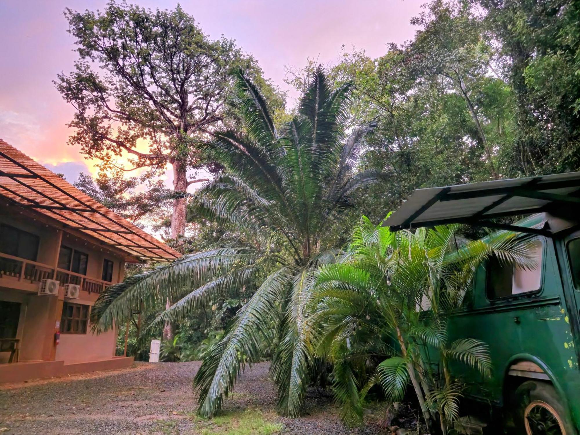 Cool Waters Jungle Villas Uvita Εξωτερικό φωτογραφία
