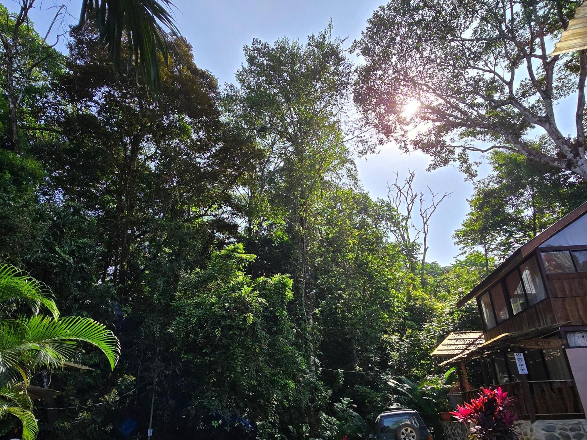 Cool Waters Jungle Villas Uvita Εξωτερικό φωτογραφία