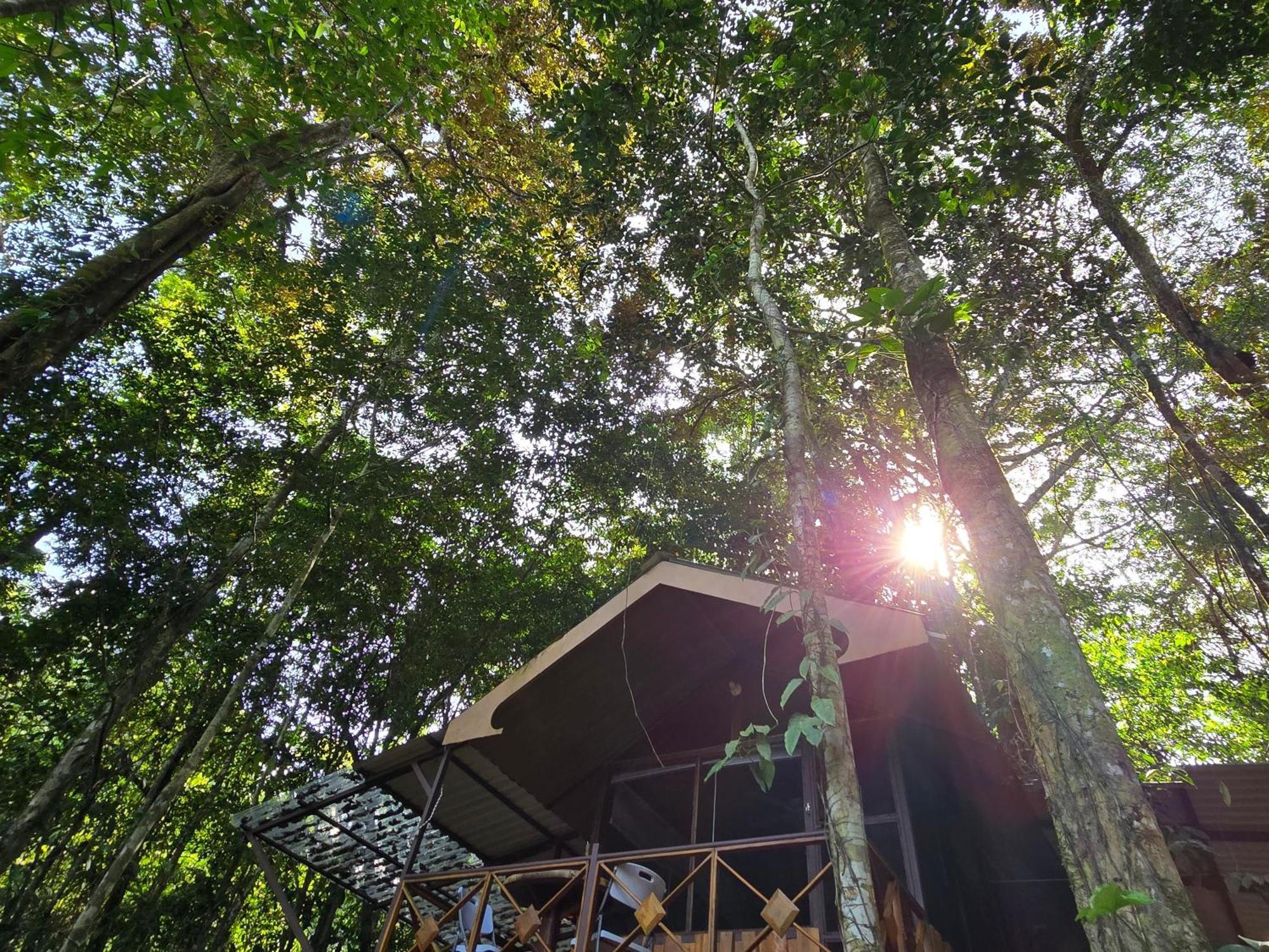 Cool Waters Jungle Villas Uvita Εξωτερικό φωτογραφία