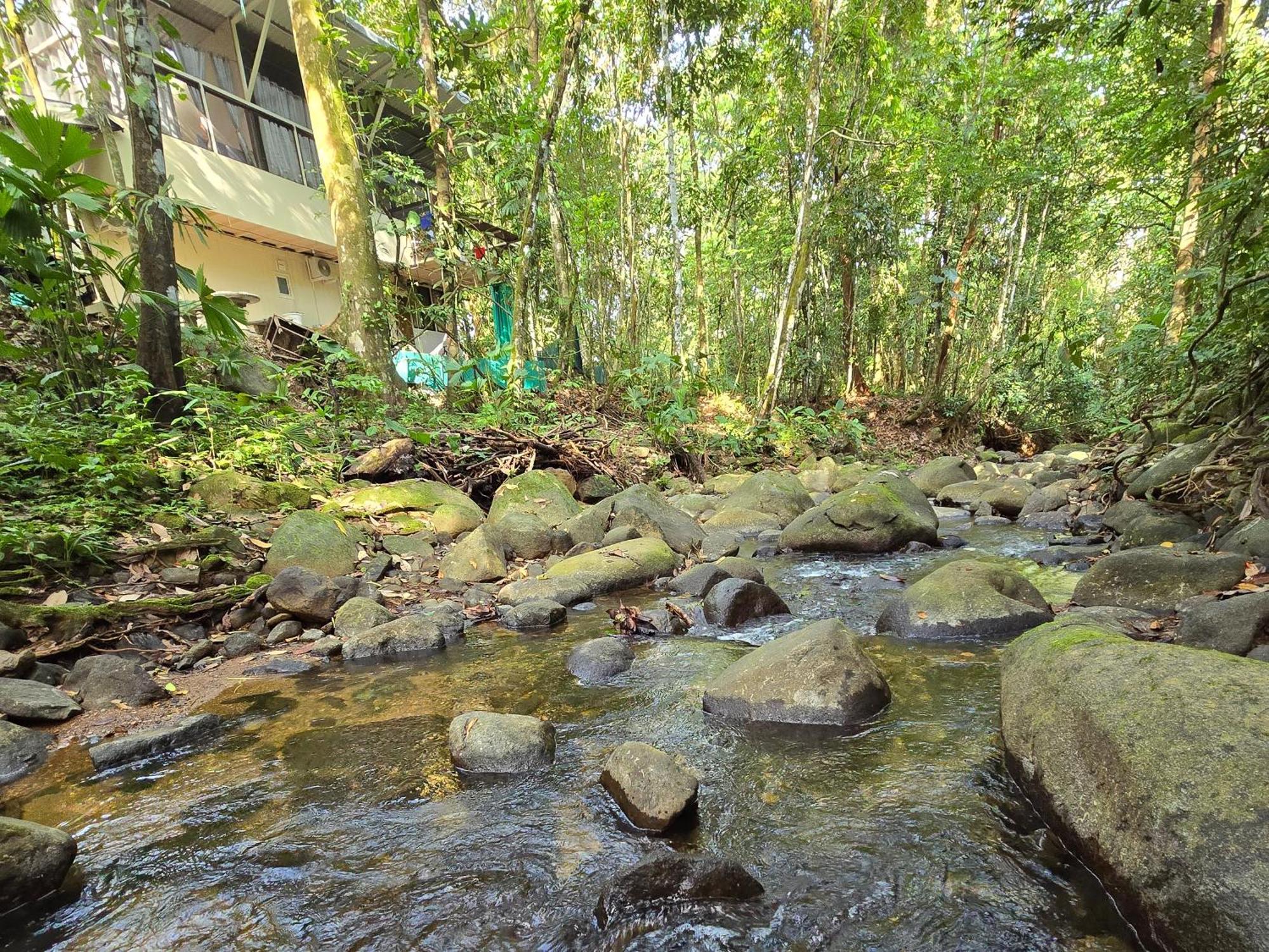 Cool Waters Jungle Villas Uvita Εξωτερικό φωτογραφία